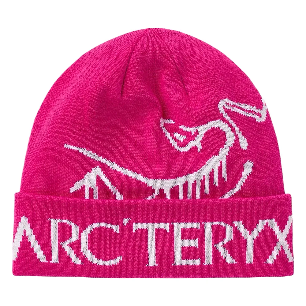 Arc'teryx Thick Beanie — Joyagoo Spreadsheet photo 1