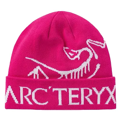 Arc'teryx Thick Beanie — Joyagoo Spreadsheet photo