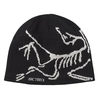 Arcteryx Beanie — Joyagoo Spreadsheet photo