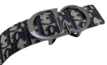 Best Batch for Dior Belt — Joyagoo Spreadsheet photo