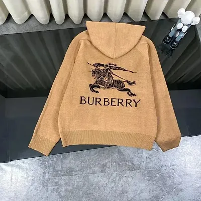 Burberry Hoodie — Joyagoo Spreadsheet photo