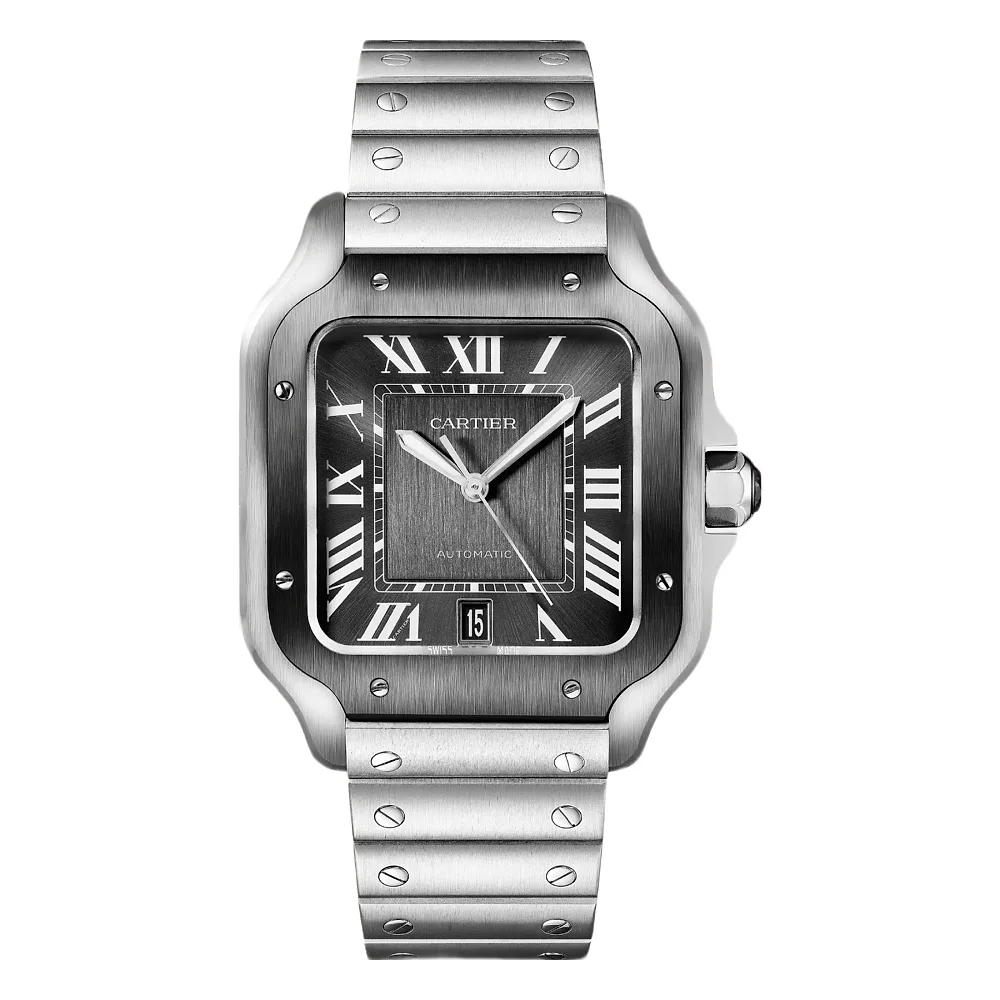 Cartier Santos Watch — Joyagoo Spreadsheet photo 1