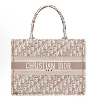Dior Book Tote — Joyagoo Spreadsheet photo