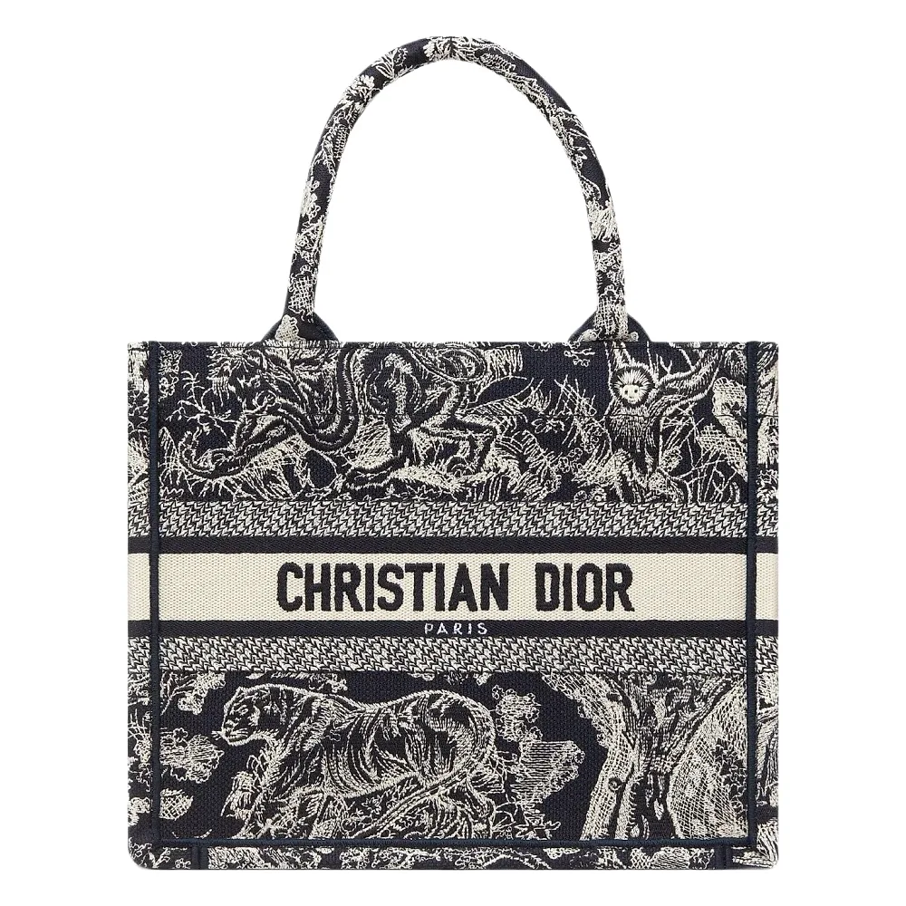 Dior Tote — Joyagoo Spreadsheet photo 1