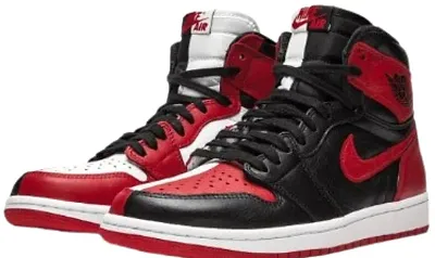 Jordan 1 Homage to Home — Joyagoo Spreadsheet photo