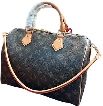 LV Speedy Traveling Bag — Joyagoo Spreadsheet photo
