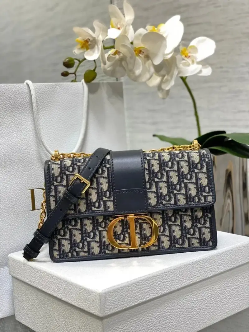 Dior 30 Montaigne Oblique — Large chain terms 25*16.5*8cm colorway — Joyagoo Spreadsheet photo