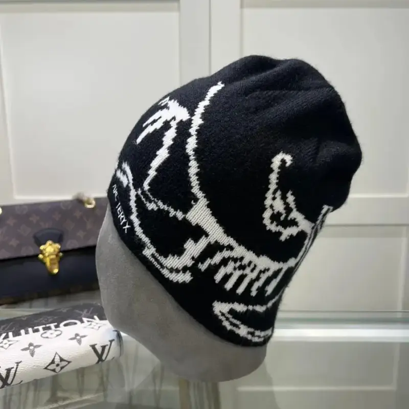 Arcteryx Beanie — S1 colorway — Joyagoo Spreadsheet photo