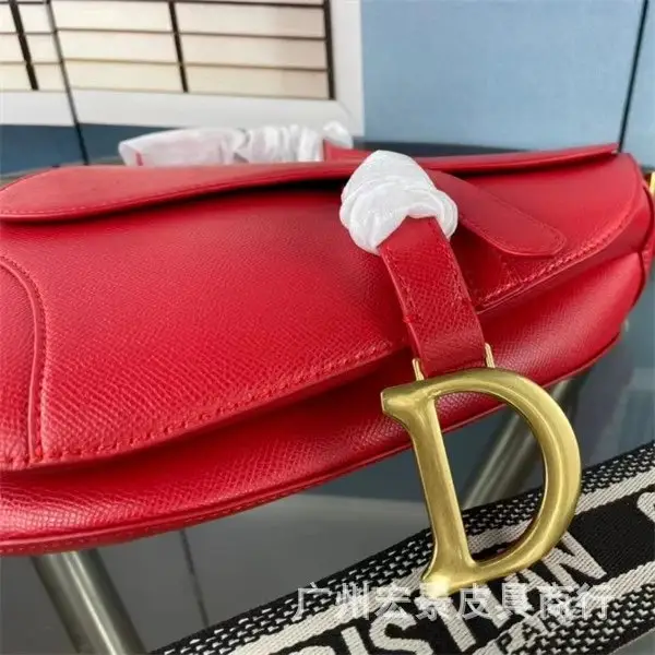 DIOR Saddle — red palm print colorway — Joyagoo Spreadsheet photo