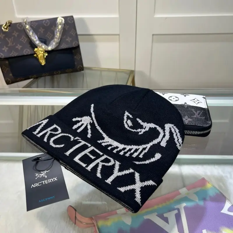Arc'teryx Thick Beanie — As shown in Figure 33 colorway — Joyagoo Spreadsheet photo