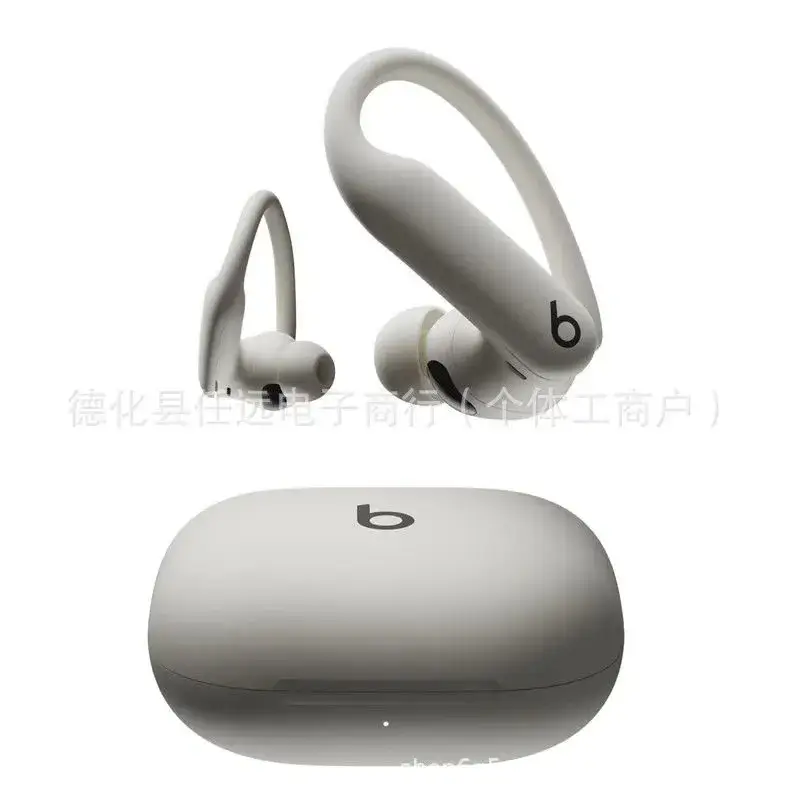 Beats Powerbeats Pro 2 — Elegant gray colorway — Joyagoo Spreadsheet photo