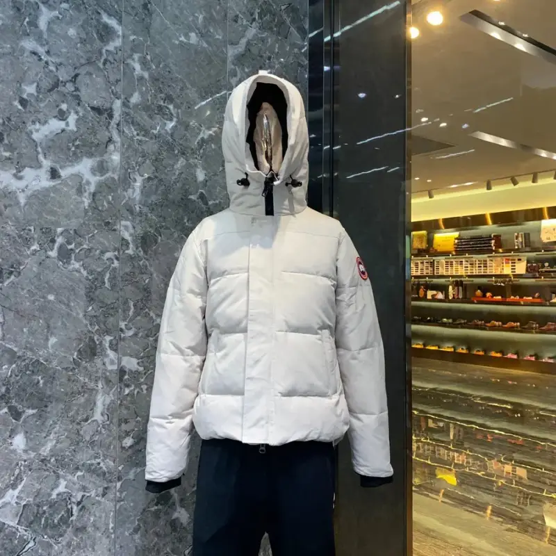 Canada Goose Wyndham Jacket — white colorway — Joyagoo Spreadsheet photo