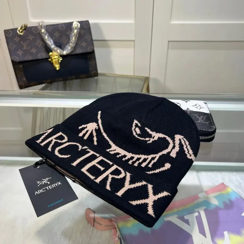 Arc'teryx Thick Beanie — As shown in Figure 32 colorway — Joyagoo Spreadsheet photo
