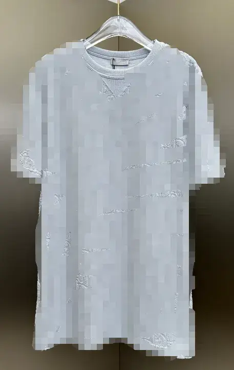 Dior Towel T-Shirt — light gray colorway — Joyagoo Spreadsheet photo