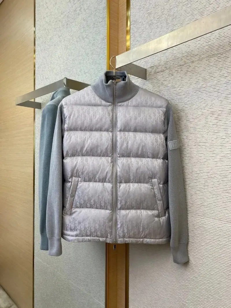 Dior Jacket — light gray colorway — Joyagoo Spreadsheet photo