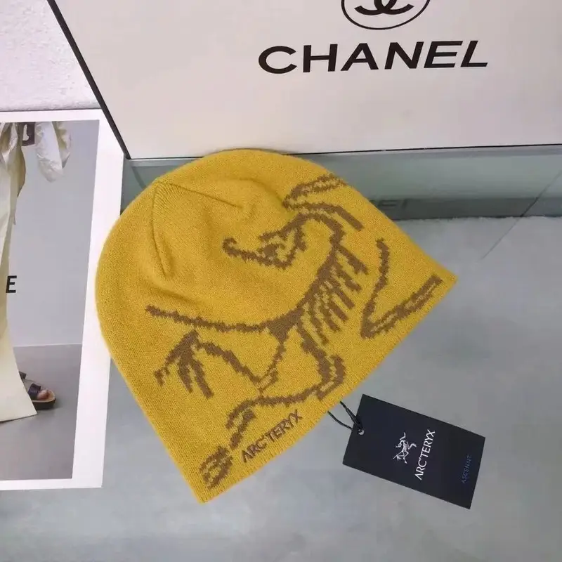 Arc'teryx Thick Beanie — As shown in Figure 5 colorway — Joyagoo Spreadsheet photo
