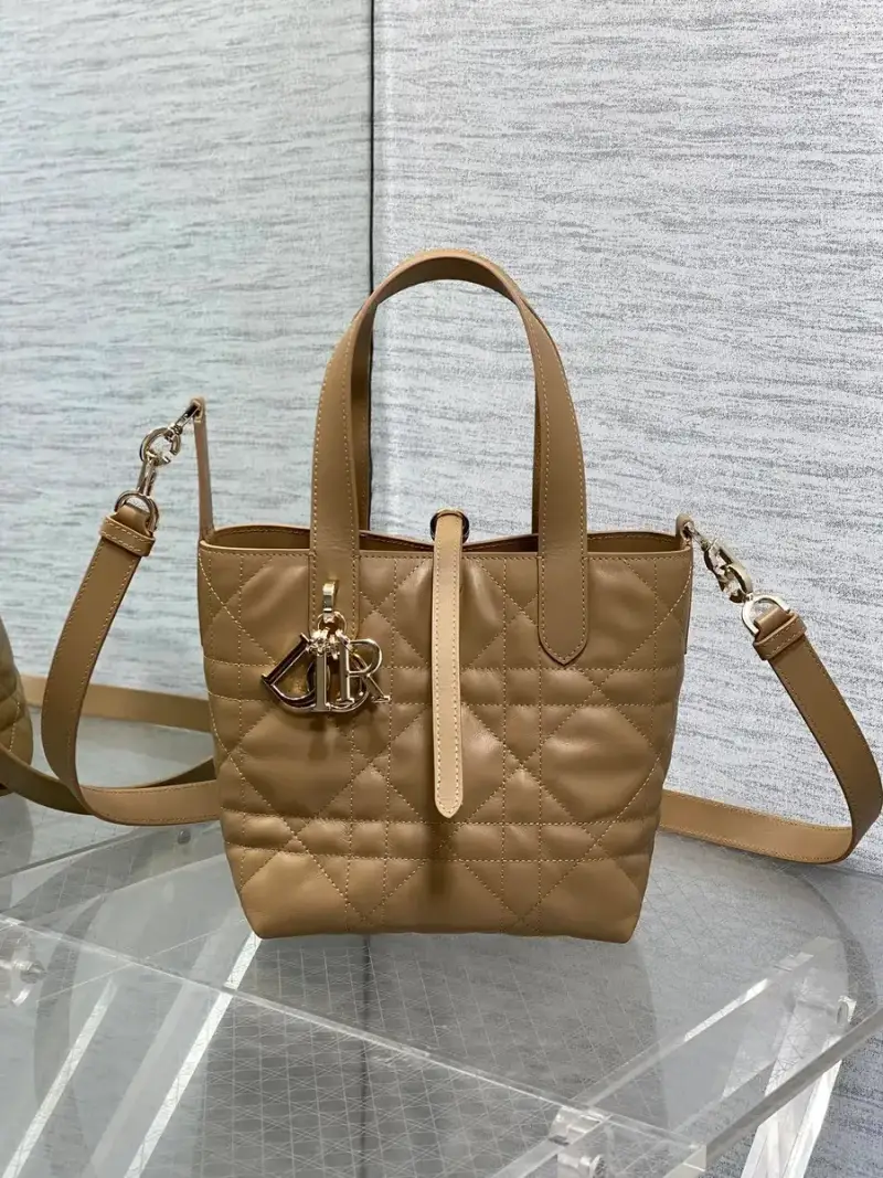 Dior Toujours Bag — Bronze color colorway — Joyagoo Spreadsheet photo