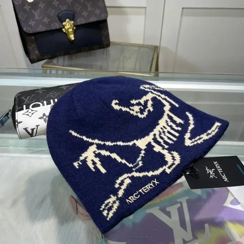 Arcteryx Beanie — S9 colorway — Joyagoo Spreadsheet photo