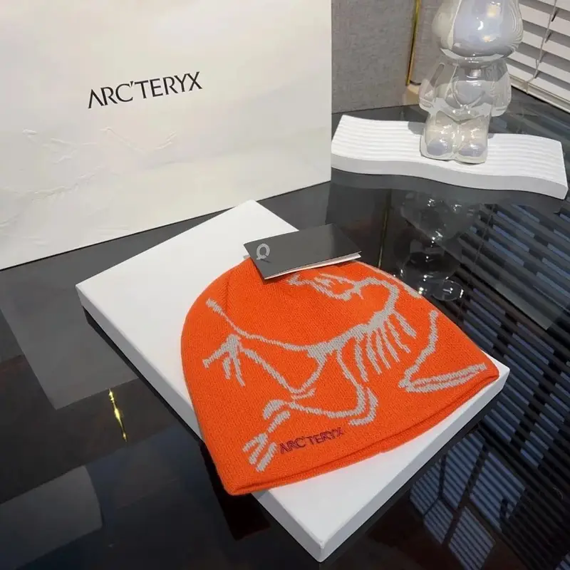 Arc'teryx Thick Beanie — As shown in Figure 8 colorway — Joyagoo Spreadsheet photo
