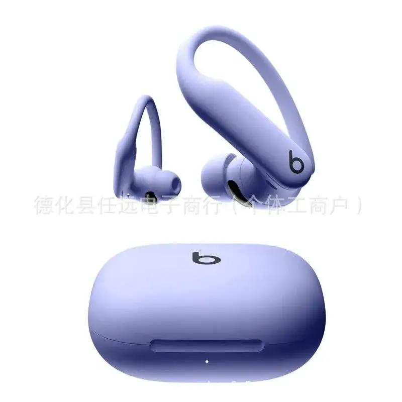 Beats Powerbeats Pro 2 — Mysterious Purple colorway — Joyagoo Spreadsheet photo