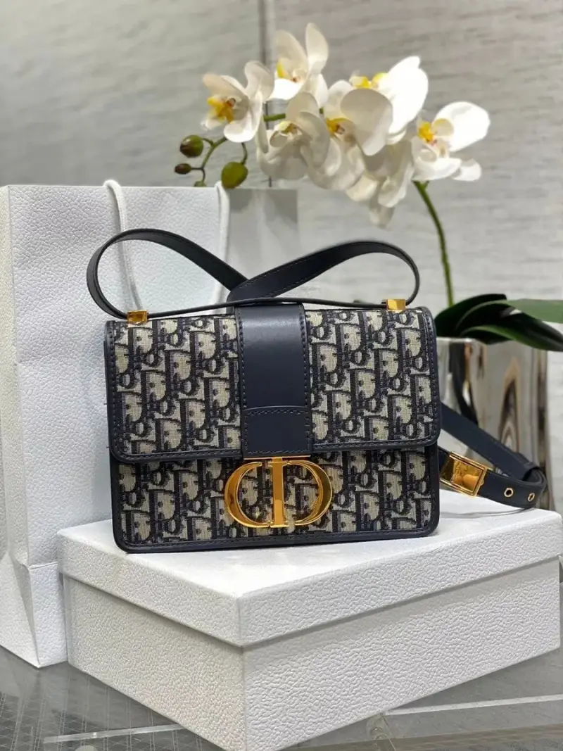 Dior 30 Montaigne Oblique — small size leather shoulder strap 21*13. colorway — Joyagoo Spreadsheet photo