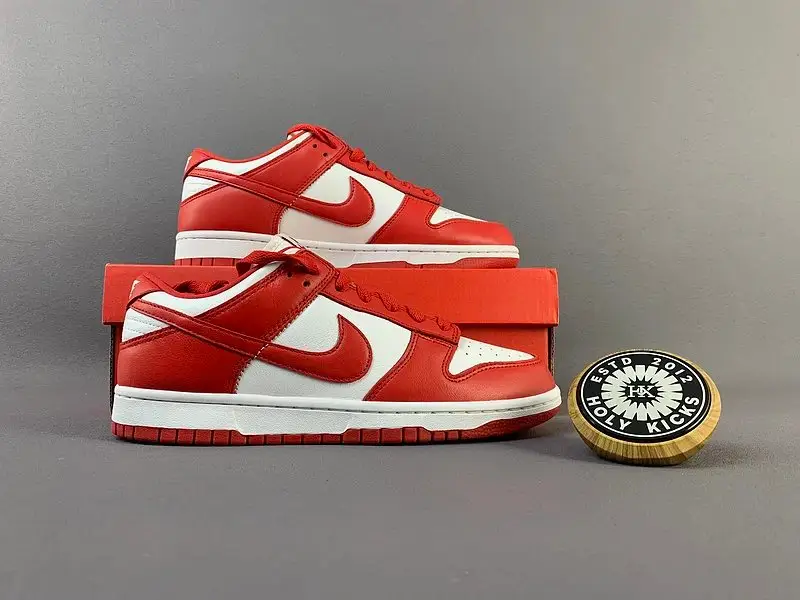 Dunk Rabbit Shoes — 06 colorway — Joyagoo Spreadsheet photo