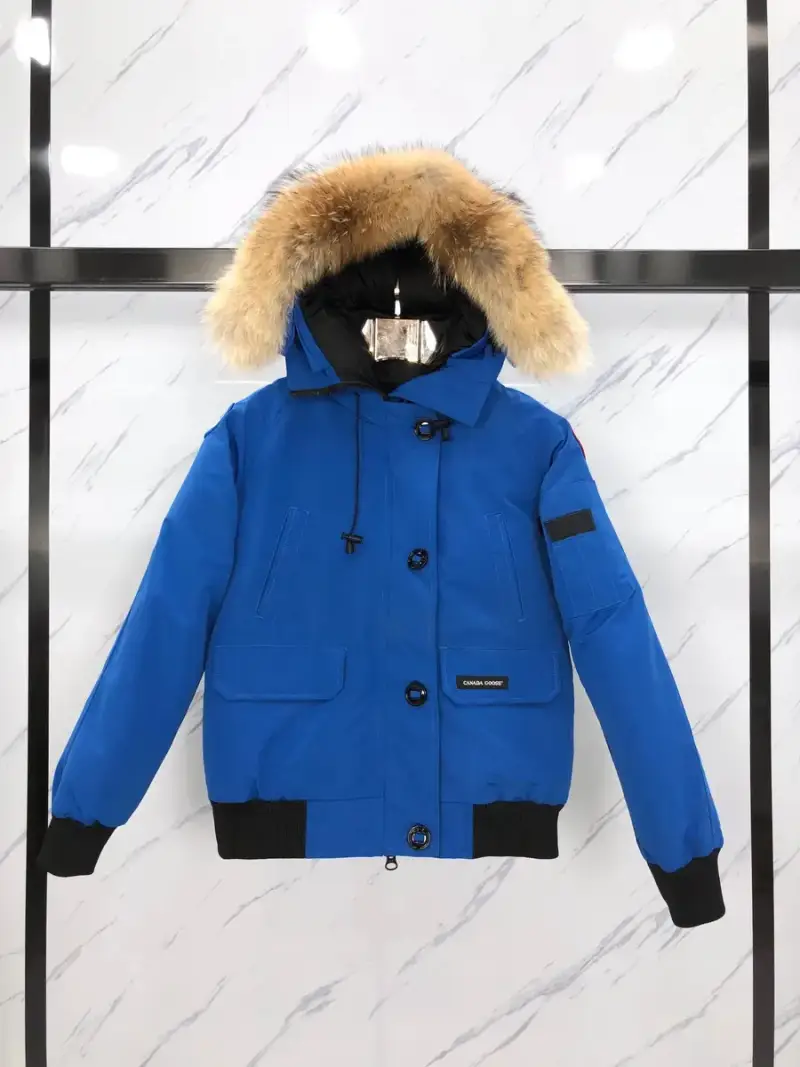 Canada Goose Wyndham Jacket — blue colorway — Joyagoo Spreadsheet photo