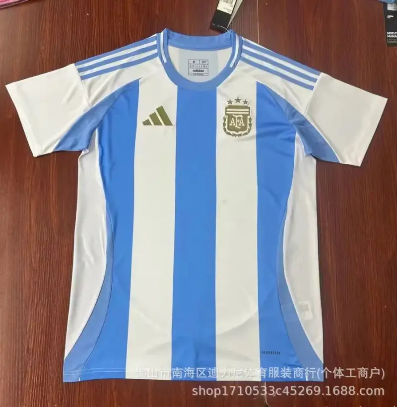 Germany 2024 Player Jersey — 04 colorway — Joyagoo Spreadsheet photo