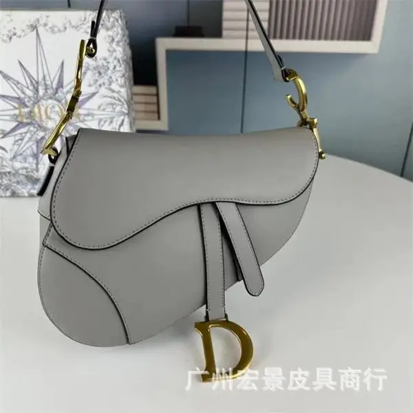 DIOR Saddle — plain gray colorway — Joyagoo Spreadsheet photo