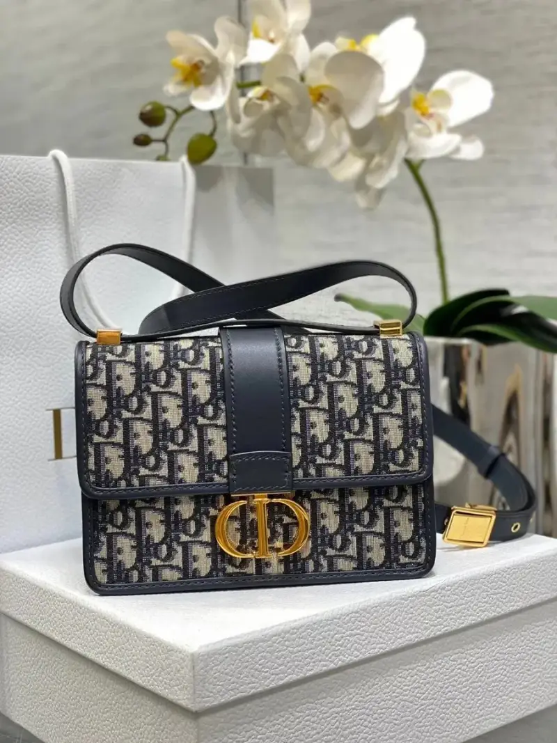 Dior 30 Montaigne Oblique — Large leather shoulder strap 24*17*8cm colorway — Joyagoo Spreadsheet photo