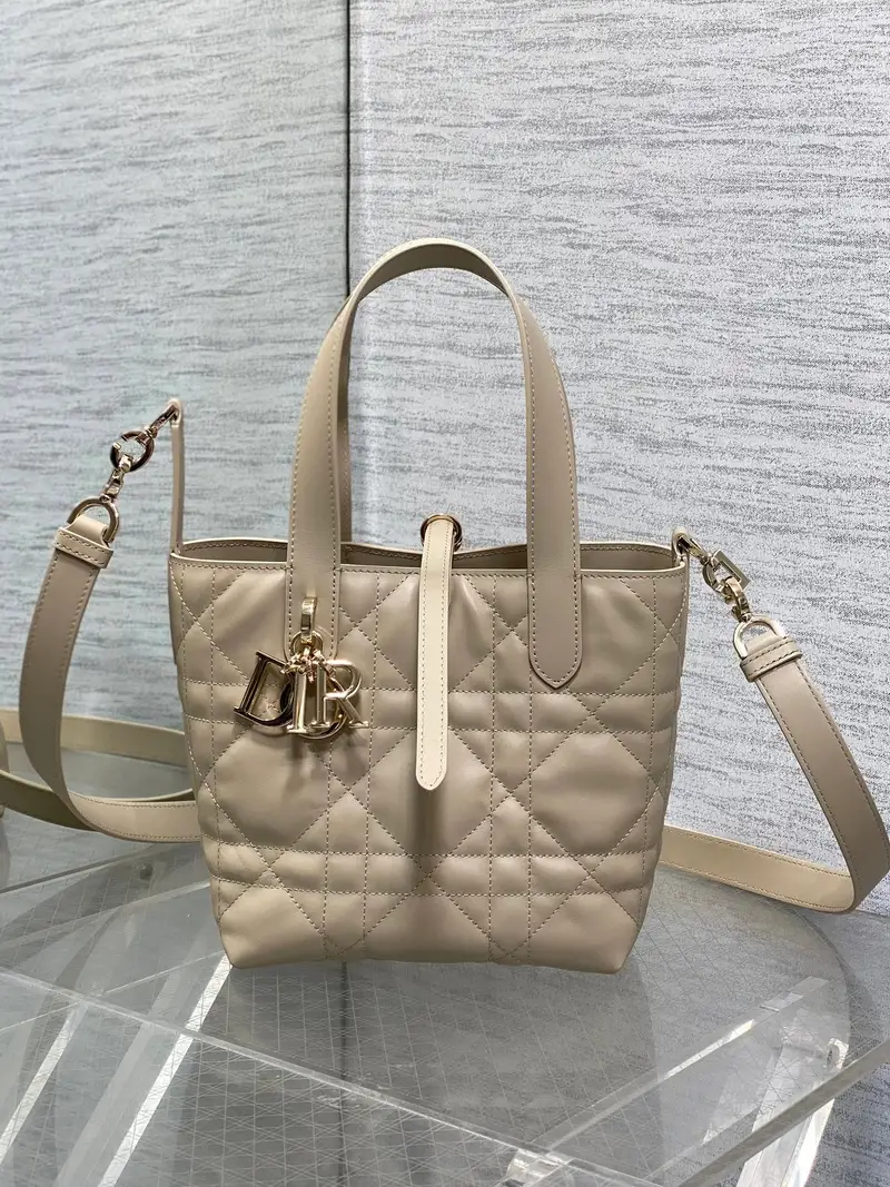 Dior Toujours Bag — Rouge Beige colorway — Joyagoo Spreadsheet photo