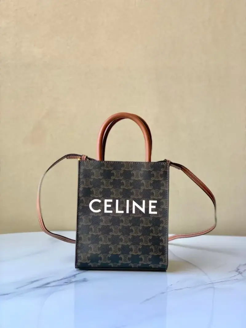 CELINE Bag — Black brown 20*17*7CM colorway — Joyagoo Spreadsheet photo