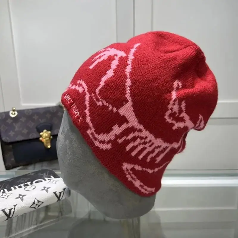 Arcteryx Beanie — S3 colorway — Joyagoo Spreadsheet photo