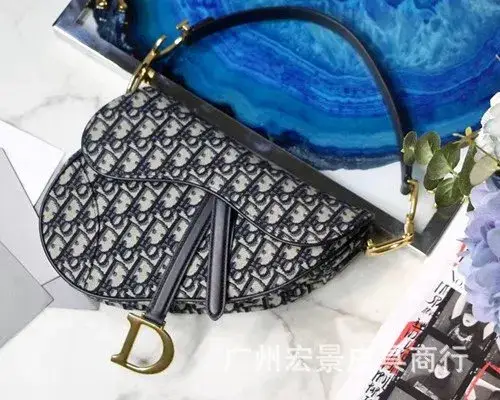 DIOR Saddle — presbydered embroidered canvas colorway — Joyagoo Spreadsheet photo