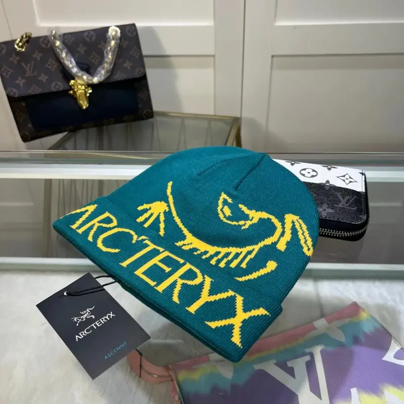 Arc'teryx Thick Beanie — As shown in Figure 28 colorway — Joyagoo Spreadsheet photo
