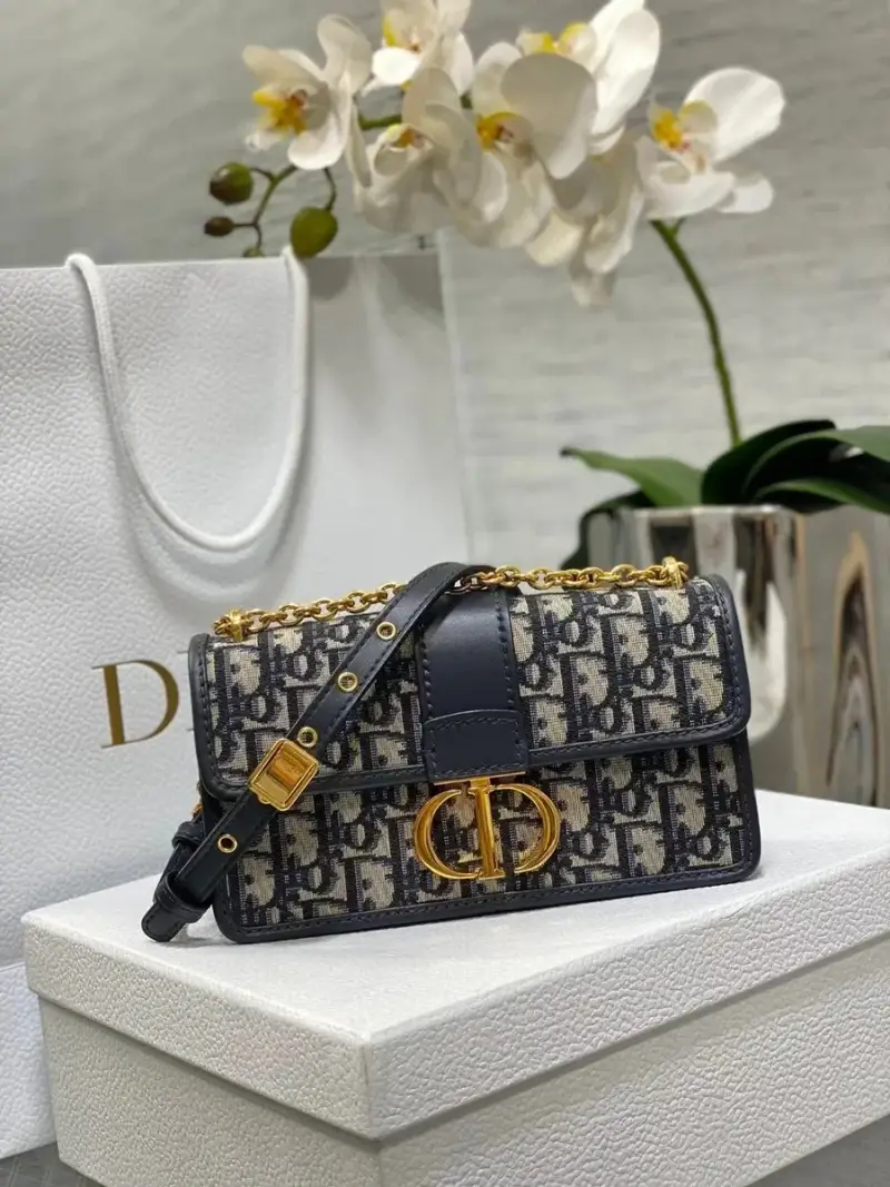 Dior 30 Montaigne Oblique — small size chain terms 21.5*12*6cm colorway — Joyagoo Spreadsheet photo