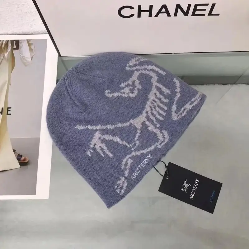 Arc'teryx Thick Beanie — As shown in Figure 6 colorway — Joyagoo Spreadsheet photo