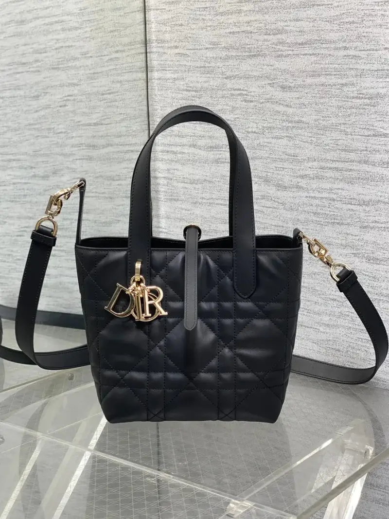 Dior Toujours Bag — black colorway — Joyagoo Spreadsheet photo