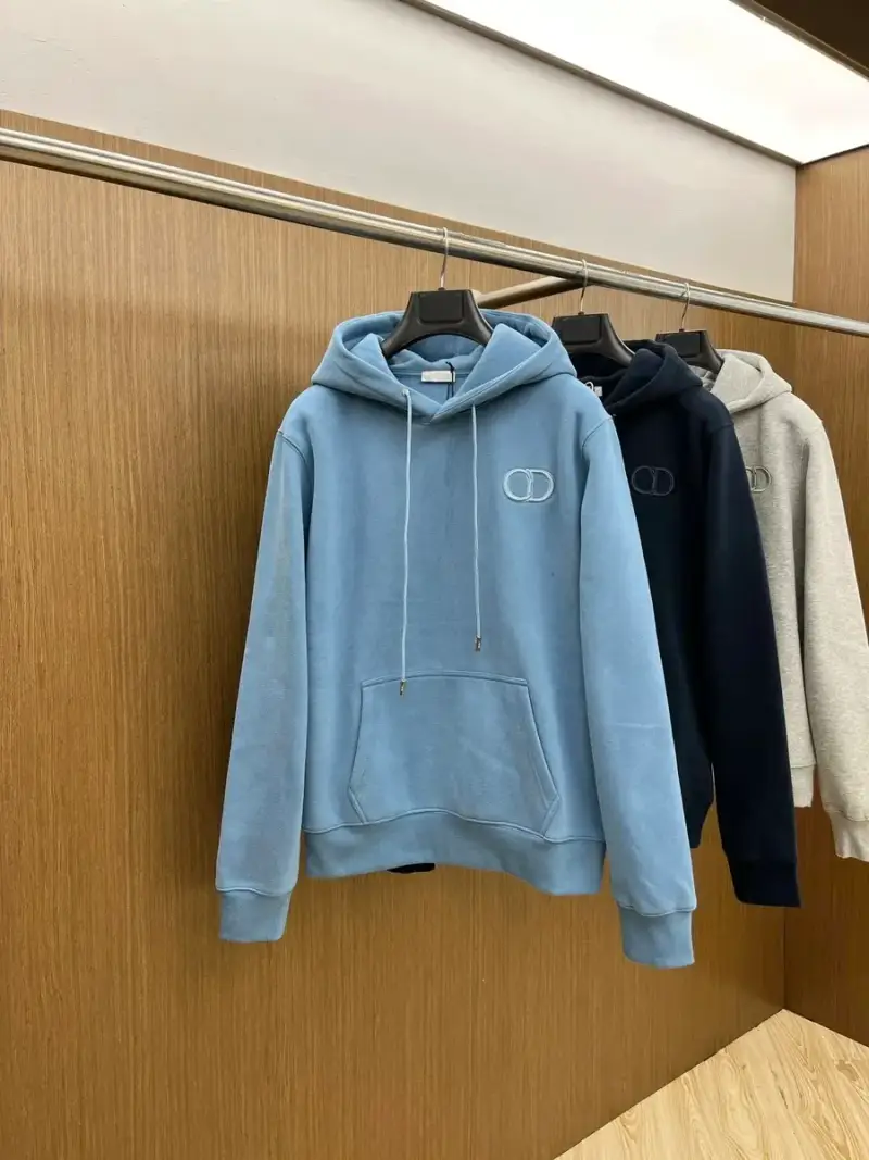 Christian Dior Basic Hoodie — Grey colorway — Joyagoo Spreadsheet photo