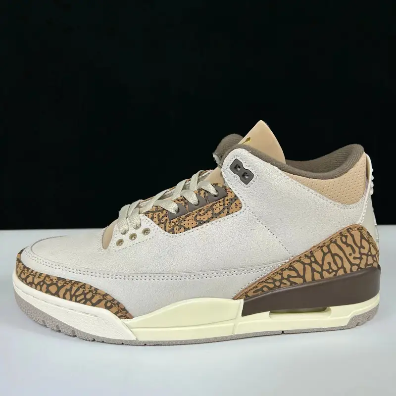 Jordan 3 Fragment Shoes — Aj3 Grey Zongzi Mocha colorway — Joyagoo Spreadsheet photo