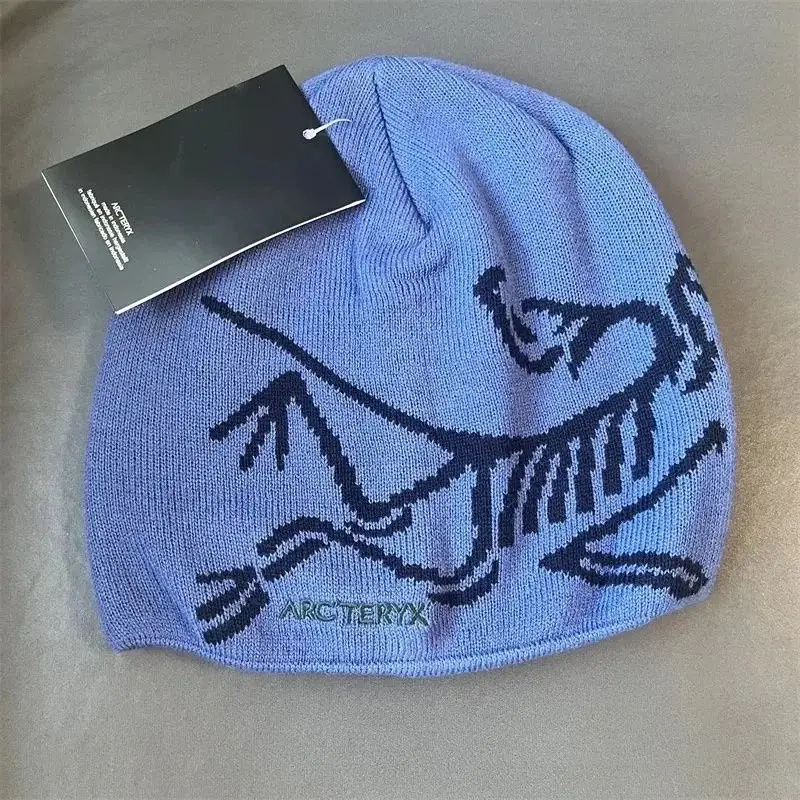 Arc'teryx Thick Beanie — As shown in Figure 23 colorway — Joyagoo Spreadsheet photo